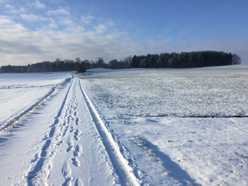 Jahresrückblick auf 2016