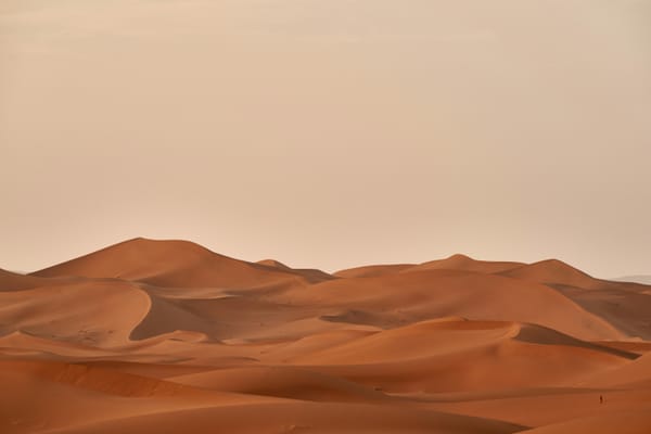 Sanddünen vor grauem Himmel